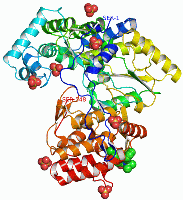 Image Asym./Biol. Unit - manually