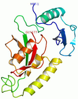 Image Asym./Biol. Unit - manually