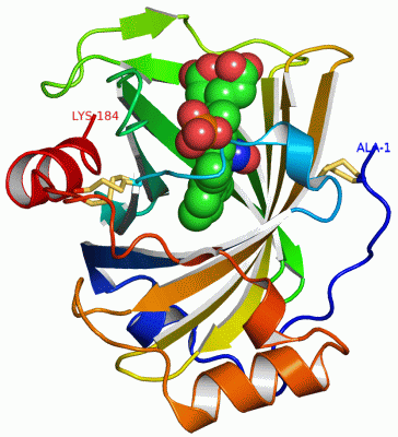 Image Asym./Biol. Unit - manually