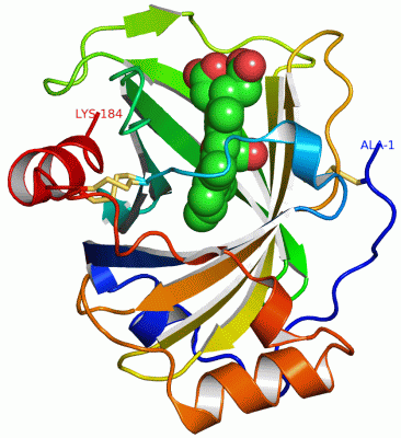 Image Asym./Biol. Unit - manually