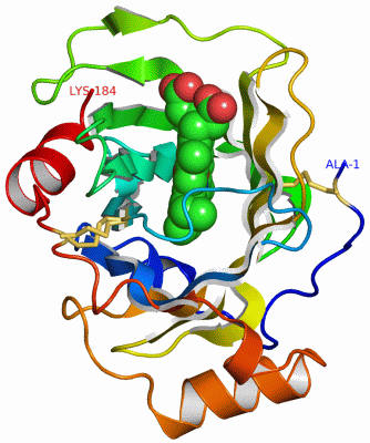 Image Asym./Biol. Unit - manually