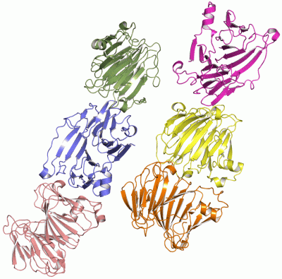 Image Asym.Unit - manually