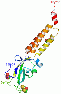 Image Asym./Biol. Unit - manually