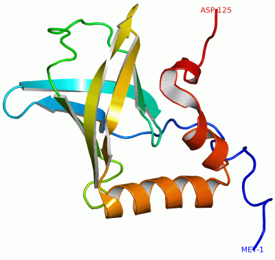 Image NMR Structure - manually