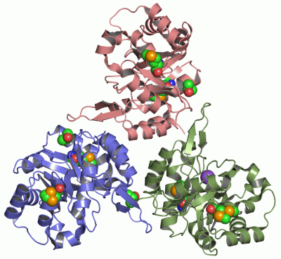 Image Asym./Biol. Unit - manually