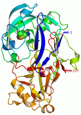 Image Asym./Biol. Unit - manually
