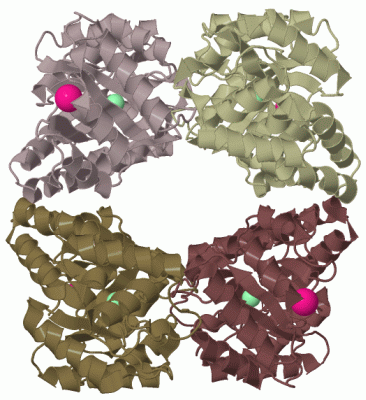 Image Biol.Unit 1 - manually