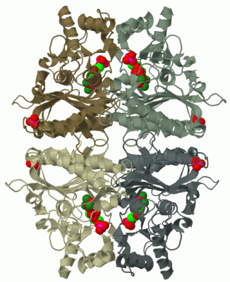 Image Biol.Unit 1 - manually