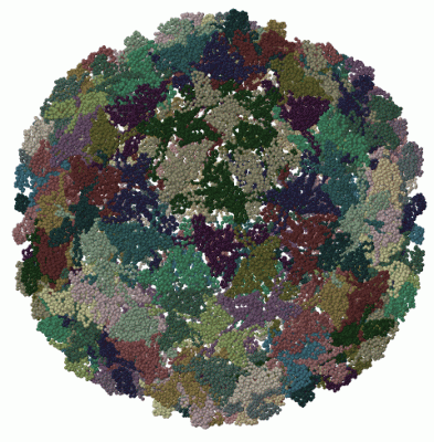 Image Biol.Unit 1 - manually