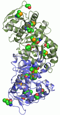 Image Asym./Biol. Unit - manually