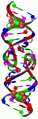 Image Asym./Biol. Unit - manually