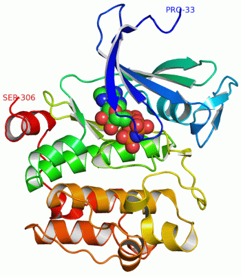 Image Asym./Biol. Unit - manually