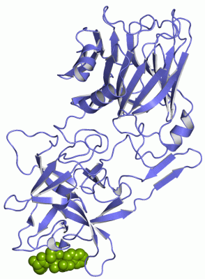 Image Asym./Biol. Unit - manually