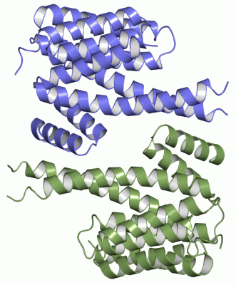 Image Asym./Biol. Unit - manually