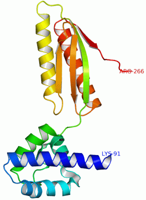 Image Asym./Biol. Unit - manually