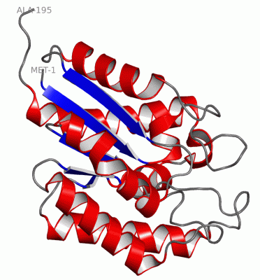 Image Asym./Biol. Unit - manually