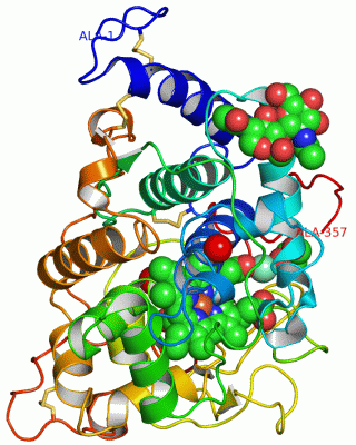 Image Asym./Biol. Unit - manually