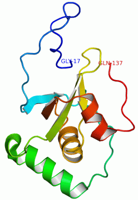 Image NMR Structure - manually