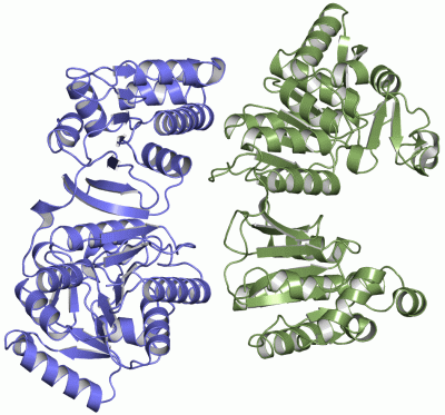 Image Asym.Unit - manually