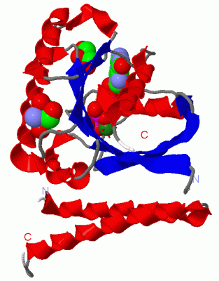 Image Asym./Biol. Unit - manually