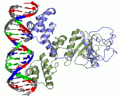 Image Theor.Model - manually