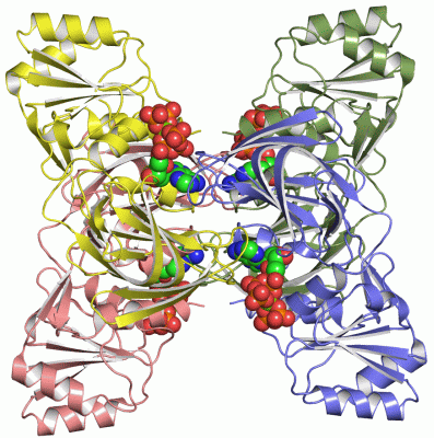 Image Asym./Biol. Unit - manually
