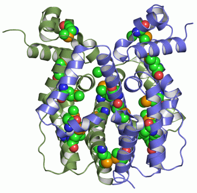 Image Asym./Biol. Unit - manually