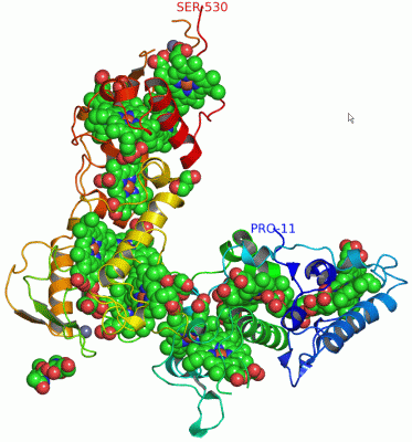 Image Asym./Biol. Unit - manually