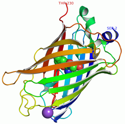 Image Asym./Biol. Unit - manually