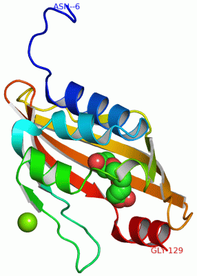 Image Asym./Biol. Unit - manually