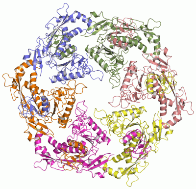 Image Theor.Model - manually