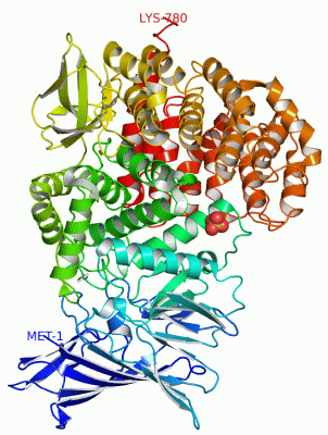 Image Asym./Biol. Unit - manually