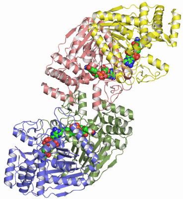 Image Asym.Unit - manually