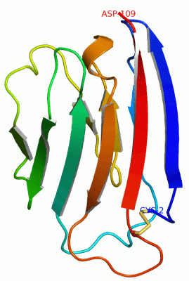 Image NMR Structure - manually