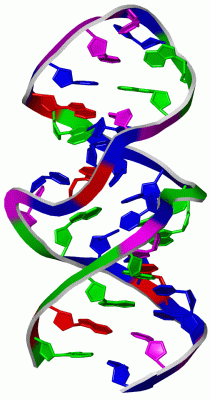 Image NMR Structure - manually