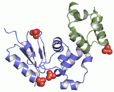 Image Asym./Biol. Unit - manually