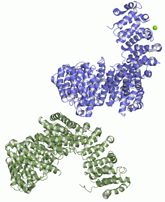 Image Asym.Unit - manually
