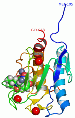 Image NMR Structure - manually