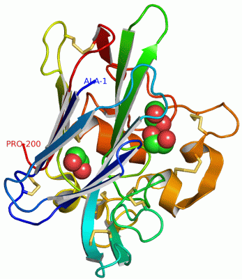 Image Asym./Biol. Unit - manually