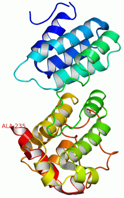 Image Asym./Biol. Unit - manually