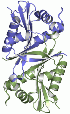 Image Asym./Biol. Unit - manually