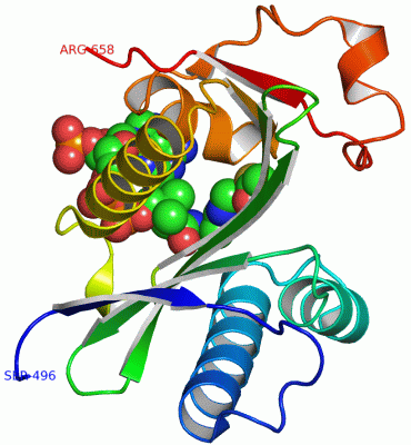 Image Asym./Biol. Unit - manually