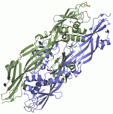Image Asym./Biol. Unit - manually