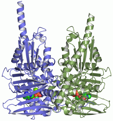 Image Asym./Biol. Unit - manually