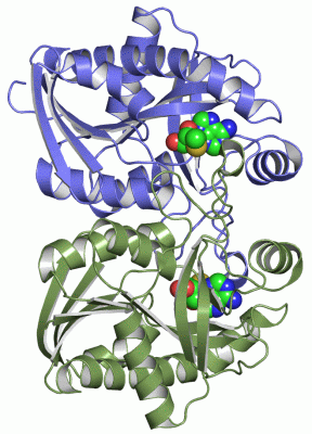 Image Asym./Biol. Unit - manually