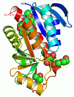Image Asym.Unit - manually