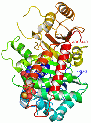 Image Asym./Biol. Unit - manually