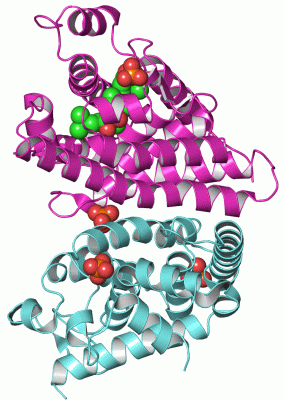 Image Asym./Biol. Unit - manually