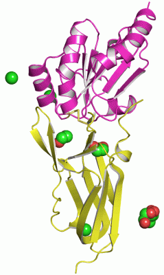 Image Asym./Biol. Unit - manually