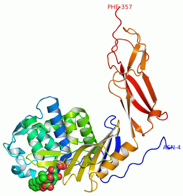 Image Asym./Biol. Unit - manually